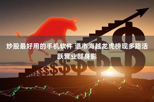 炒股最好用的手机软件 退市海越龙虎榜现多路活跃营业部身影